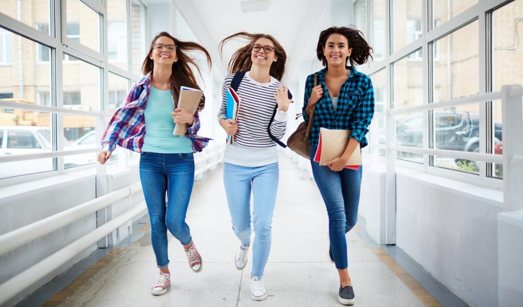 Scuole private a Sesto Fiorentino