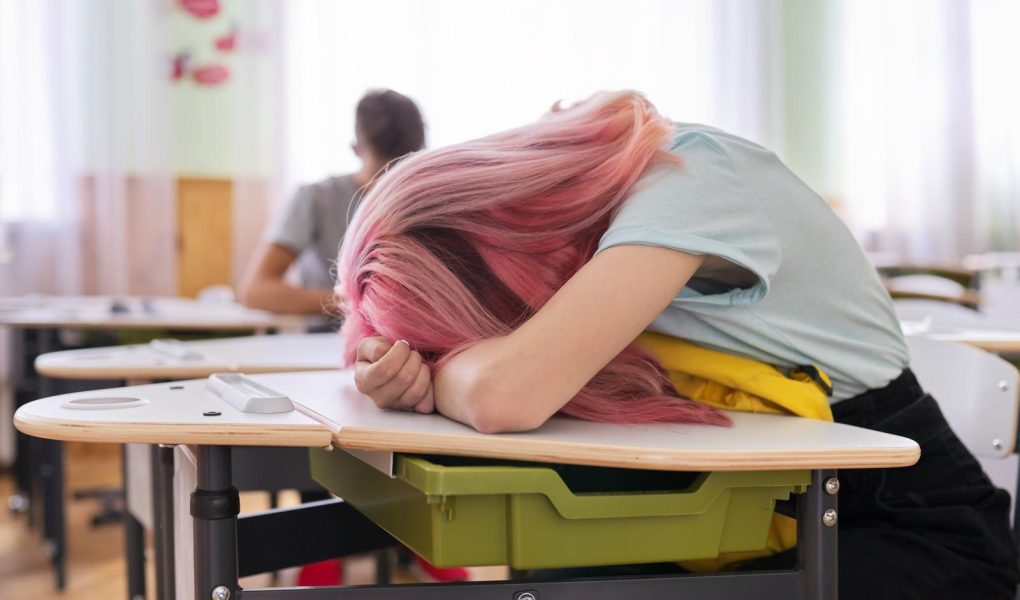 Scuole serali a Vicenza